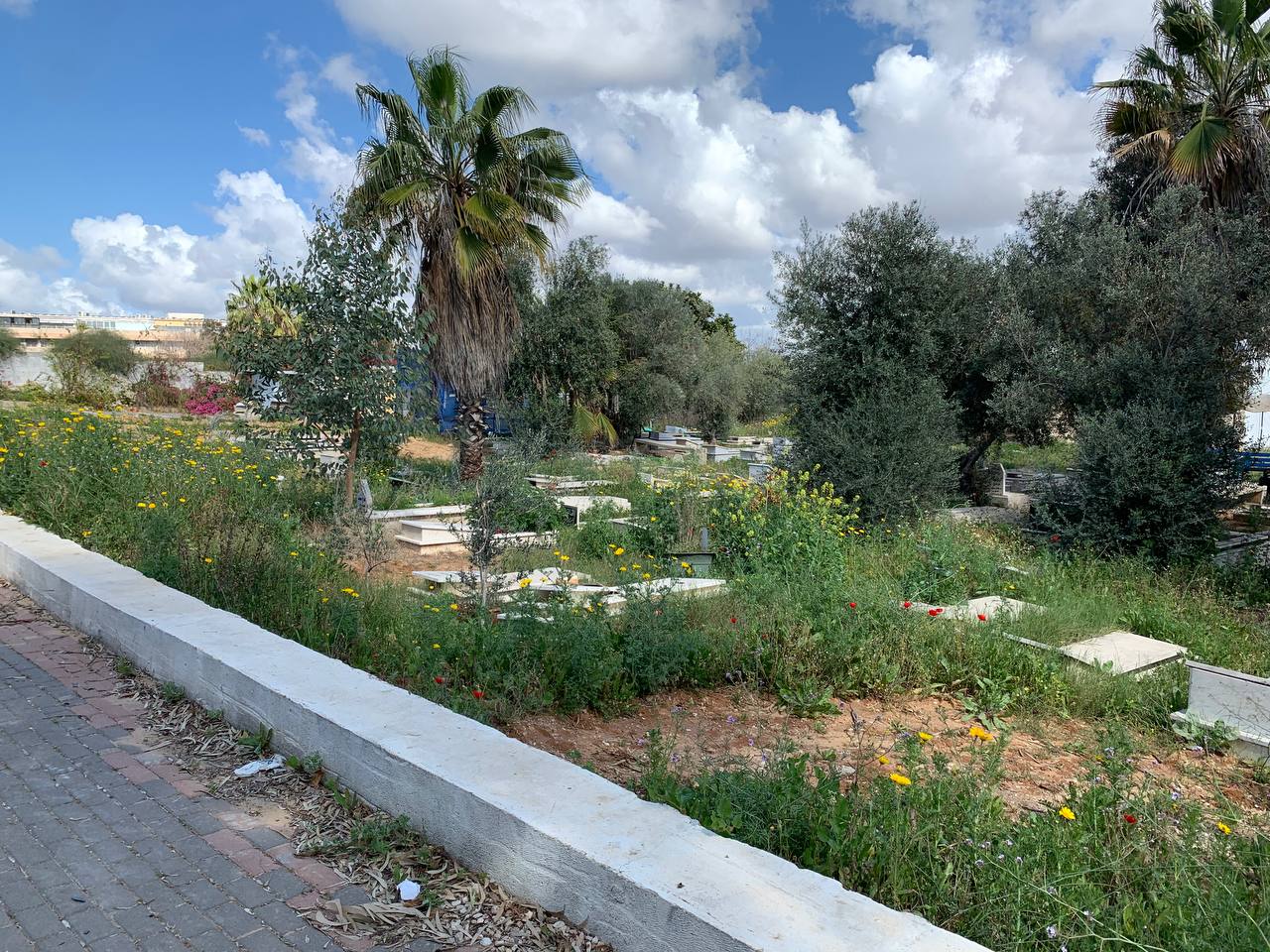 photo1678276195 (7).jpeg